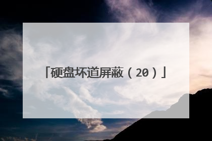 硬盘坏道屏蔽(20)