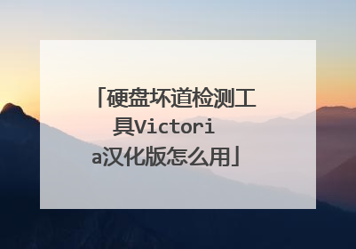 硬盘坏道检测工具Victoria汉化版怎么用