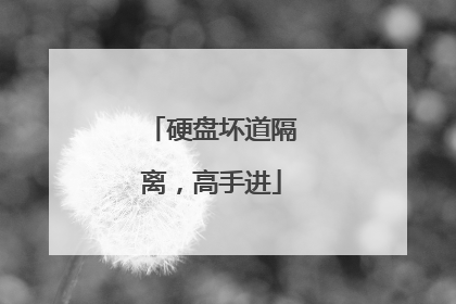 硬盘坏道隔离,高手进