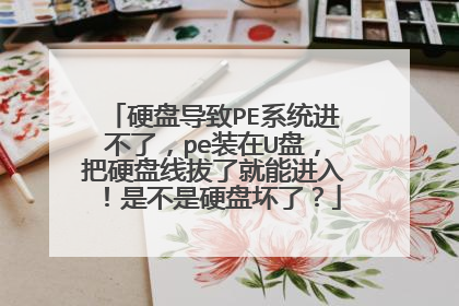 硬盘导致PE系统进不了，pe装在U盘，把硬盘线拔了就能进入！是不是硬盘坏了？
