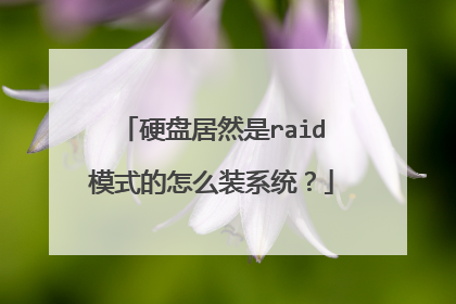 硬盘居然是raid模式的怎么装系统?