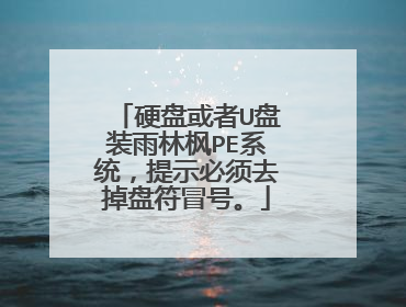 硬盘或者U盘装雨林枫PE系统，提示必须去掉盘符冒号。