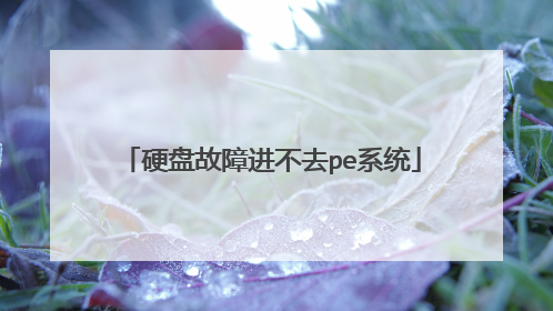硬盘故障进不去pe系统