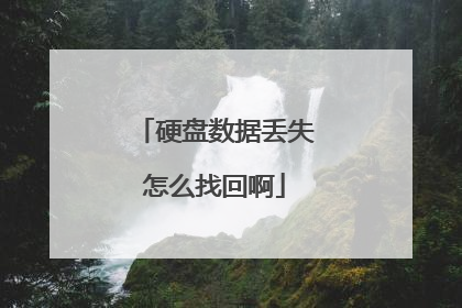 硬盘数据丢失怎么找回啊