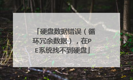 硬盘数据错误（循环冗余数据），在PE系统找不到硬盘