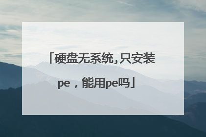 硬盘无系统,只安装pe，能用pe吗