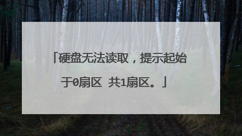 硬盘无法读取,提示起始于0扇区 共1扇区。