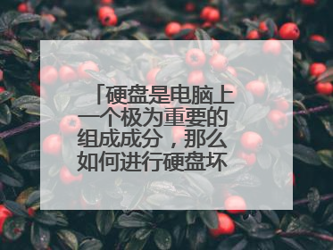硬盘是电脑上一个极为重要的组成成分,那么如何进行硬盘坏道检测呢?