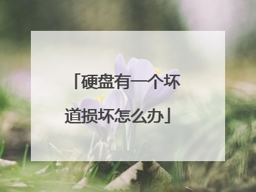 硬盘有一个坏道损坏怎么办