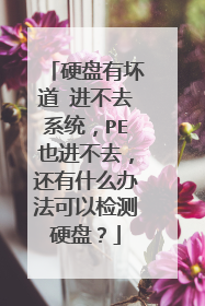 硬盘有坏道 进不去系统,PE也进不去,还有什么办法可以检测硬盘?