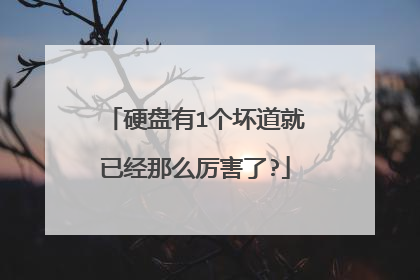 硬盘有1个坏道就已经那么厉害了?