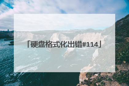 硬盘格式化出错#114