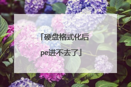 硬盘格式化后pe进不去了