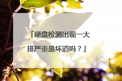 硬盘检测出现一大排严重是坏道吗?