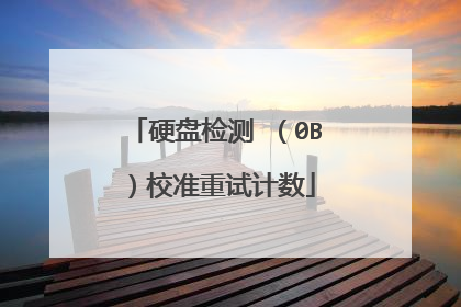 硬盘检测 (0B)校准重试计数