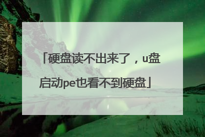 硬盘读不出来了,u盘启动pe也看不到硬盘