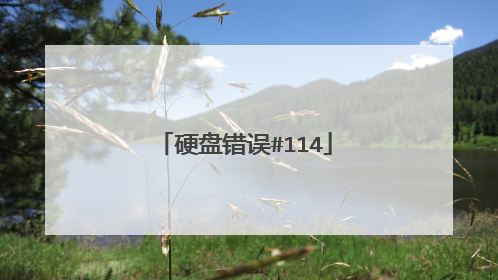 硬盘错误#114