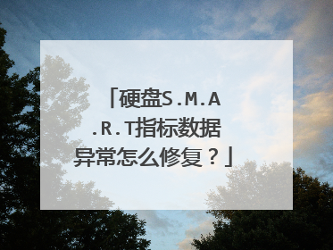 硬盘S.M.A.R.T指标数据异常怎么修复?