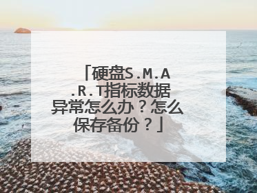 硬盘S.M.A.R.T指标数据异常怎么办?怎么保存备份?