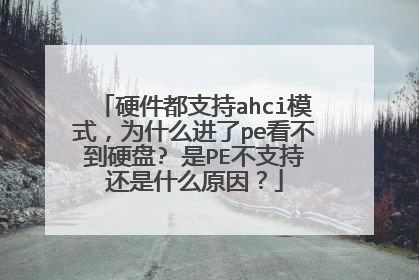 硬件都支持ahci模式，为什么进了pe看不到硬盘? 是PE不支持还是什么原因？