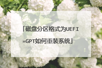 磁盘分区格式为UEFI=GPT如何重装系统