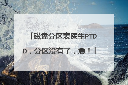 磁盘分区表医生PTDD，分区没有了，急！