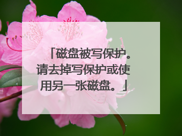 磁盘被写保护。请去掉写保护或使用另一张磁盘。