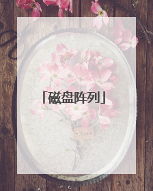 磁盘阵列