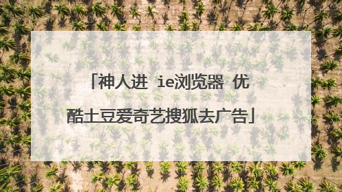 神人进 ie浏览器 优酷土豆爱奇艺搜狐去广告