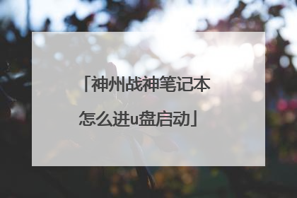 神州战神笔记本怎么进u盘启动