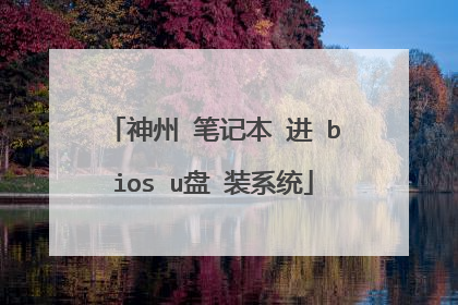 神州 笔记本 进 bios u盘 装系统