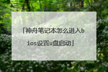 神舟笔记本怎么进入bios设置u盘启动