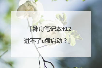 神舟笔记本f12进不了u盘启动？