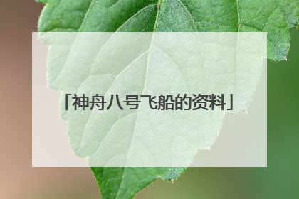 神舟八号飞船的资料