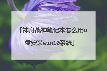 神舟战神笔记本怎么用u盘安装win10系统