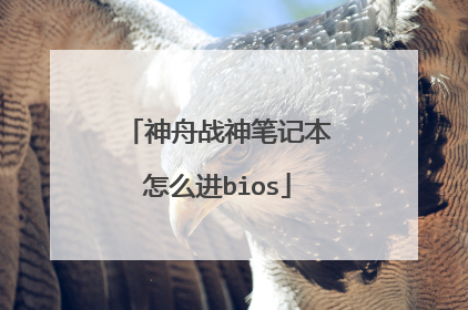神舟战神笔记本怎么进bios