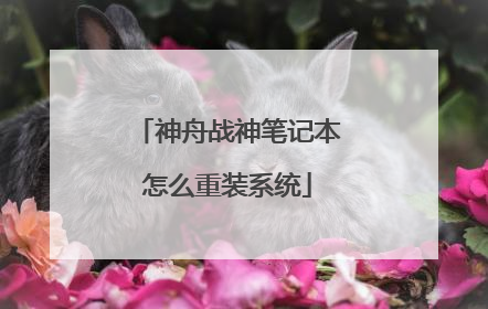 神舟战神笔记本怎么重装系统