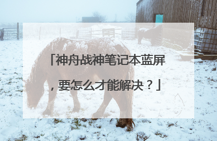 神舟战神笔记本蓝屏,要怎么才能解决?