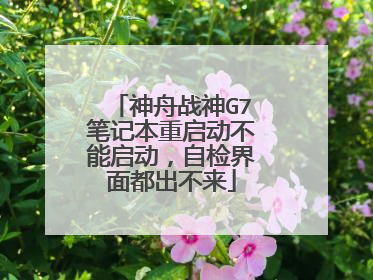 神舟战神G7笔记本重启动不能启动,自检界面都出不来