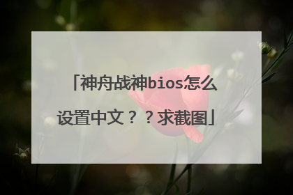 神舟战神bios怎么设置中文??求截图
