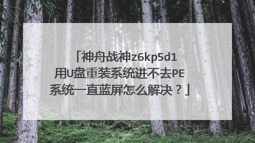 神舟战神z6kp5d1用U盘重装系统进不去PE系统一直蓝屏怎么解决?