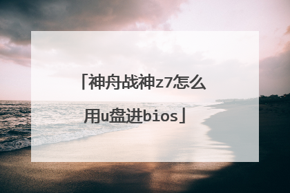 神舟战神z7怎么用u盘进bios