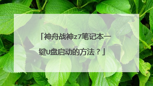 神舟战神z7笔记本一键U盘启动的方法？