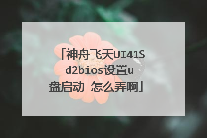 神舟飞天UI41S d2bios设置u盘启动 怎么弄啊