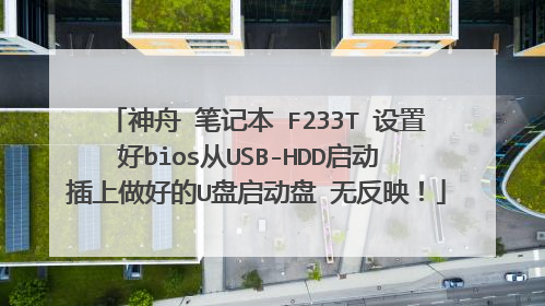 神舟 笔记本 F233T 设置好bios从USB-HDD启动 插上做好的U盘启动盘 无反映!