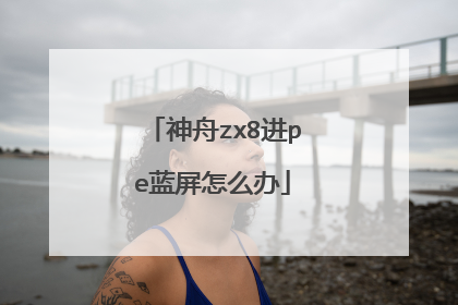神舟zx8进pe蓝屏怎么办