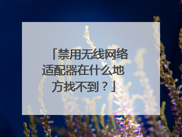 禁用无线网络适配器在什么地方找不到?