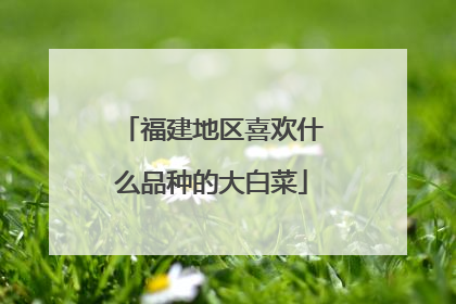 福建地区喜欢什么品种的大白菜