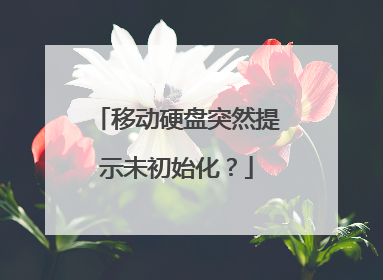 移动硬盘突然提示未初始化？
