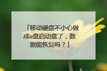 移动硬盘不小心做成u盘启动盘了,数据能恢复吗?